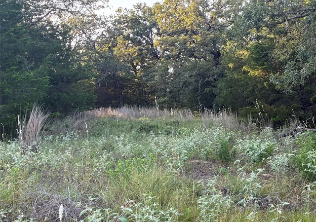5th image of 2933 County Road 457, Thorndale, TX 76577 | MLS# 8374309