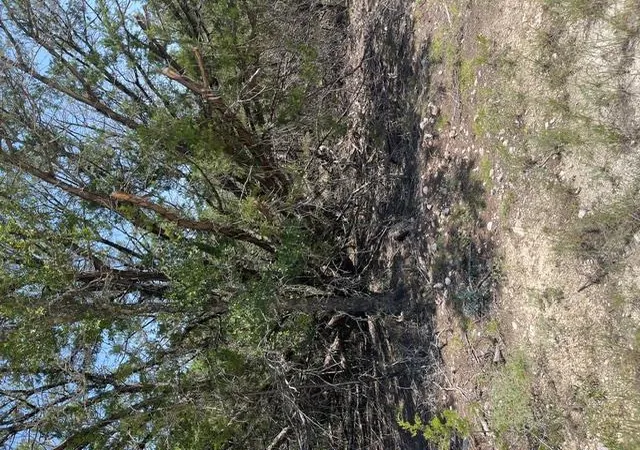 Photo 1 of Land for sale at Tbd Cr 2644, Lometa, TX 76853 | MLS# 1772782 | Listing updated on 2026-08-03