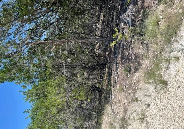 Photo 2 of Land for sale at Tbd Cr 2644, Lometa, TX 76853 | MLS# 1772782 | Listing updated on 2026-08-03