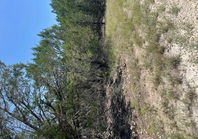 Photo 3 of Land for sale at Tbd Cr 2644, Lometa, TX 76853 | MLS# 1772782 | Listing updated on 2026-08-03