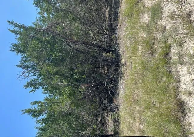 Photo 4 of Land for sale at Tbd Cr 2644, Lometa, TX 76853 | MLS# 1772782 | Listing updated on 2026-08-03
