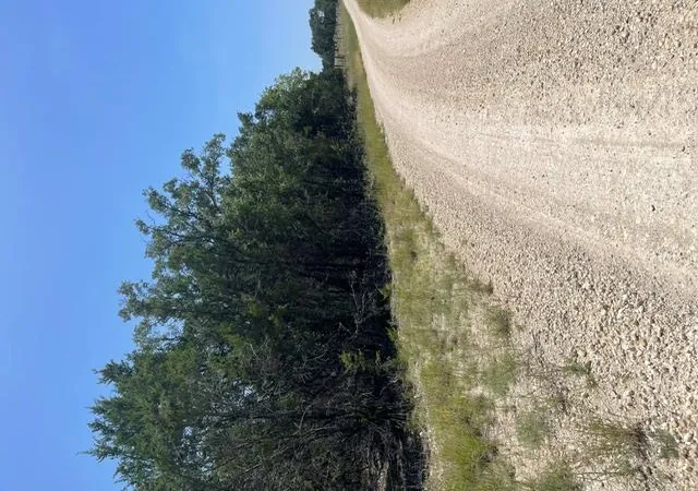 Photo 9 of Land for sale at Tbd Cr 2644, Lometa, TX 76853 | MLS# 1772782 | Listing updated on 2026-08-03