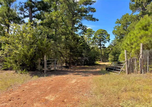 1st image of 445 Pine Valley Loop, Smithville, TX 78957 | MLS# 4811374