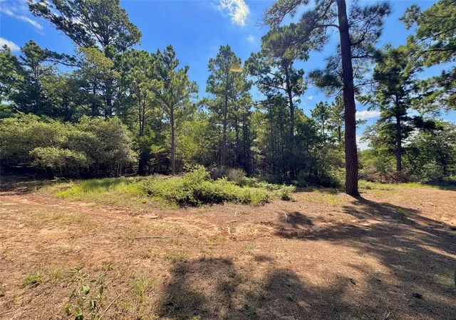 2nd image of 445 Pine Valley Loop, Smithville, TX 78957 | MLS# 4811374