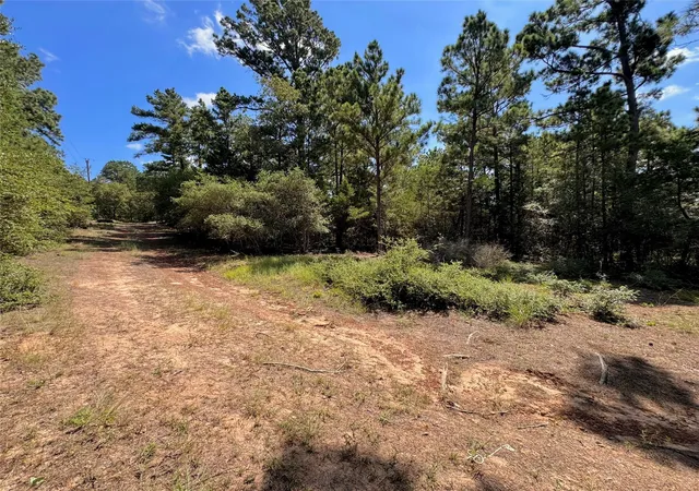 image of 445 Pine Valley Loop, Smithville, TX 78957 | MLS# 4811374