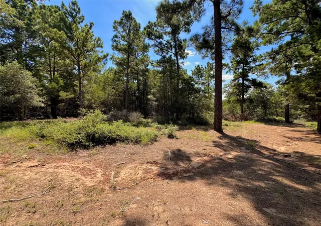 image of 445 Pine Valley Loop, Smithville, TX 78957 | MLS# 4811374