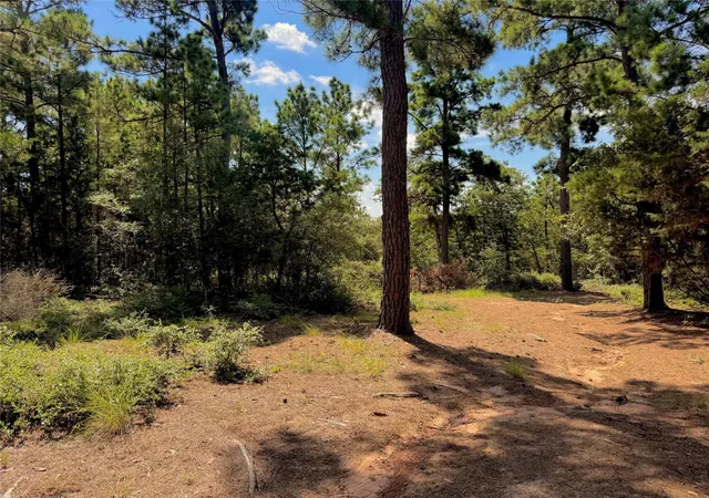 image of 445 Pine Valley Loop, Smithville, TX 78957 | MLS# 4811374