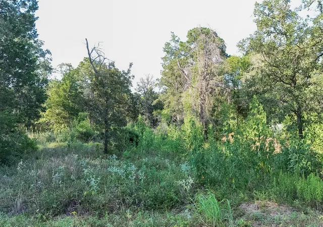 3rd image of 000 Flint Ridge St, Bastrop, TX 78602 | MLS# 4436874
