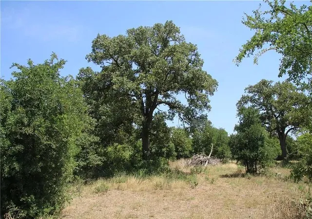 1st image of 580 Whisper Ln, Georgetown, TX 78628 | MLS# 9048755