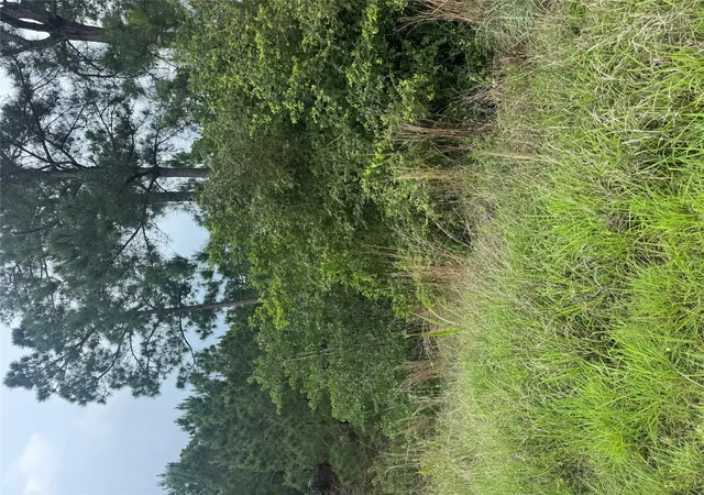 Photo 2 of Land for sale at Lots Kaanapali And Haleakala Ln, Bastrop, TX 78602 | MLS# 4024669 | Listing updated on 2026-09-14