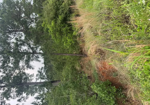 Photo 3 of Land for sale at Lots Kaanapali And Haleakala Ln, Bastrop, TX 78602 | MLS# 4024669 | Listing updated on 2026-09-14