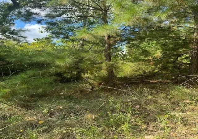 1st image of Lots 1338 And 1339 Tahitian Dr, Bastrop, TX 78602 | MLS# 1641122