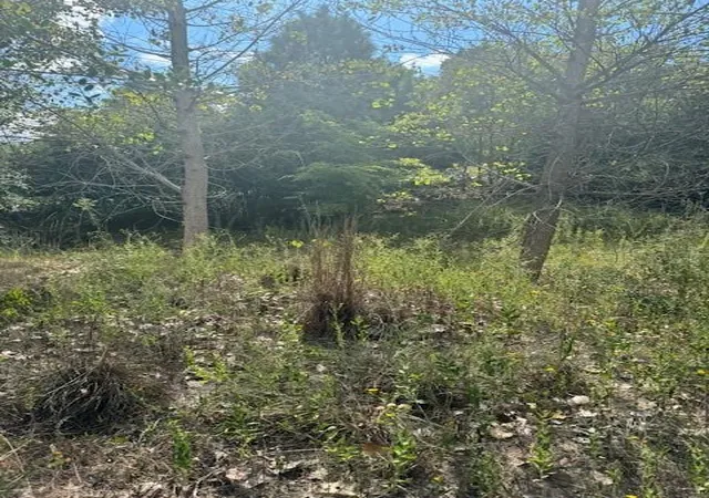 2nd image of Lots 1338 And 1339 Tahitian Dr, Bastrop, TX 78602 | MLS# 1641122
