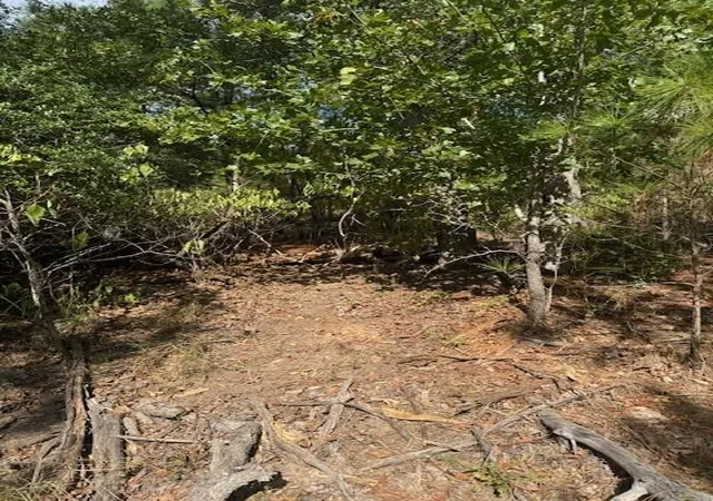 3rd image of Lots 1338 And 1339 Tahitian Dr, Bastrop, TX 78602 | MLS# 1641122