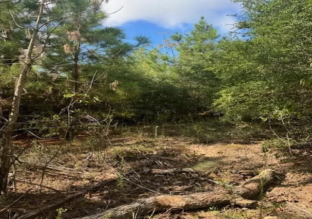 4th image of Lots 1338 And 1339 Tahitian Dr, Bastrop, TX 78602 | MLS# 1641122