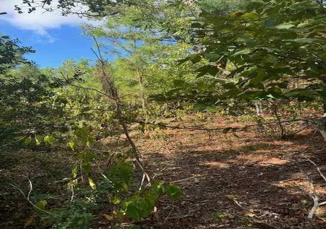 5th image of Lots 1338 And 1339 Tahitian Dr, Bastrop, TX 78602 | MLS# 1641122