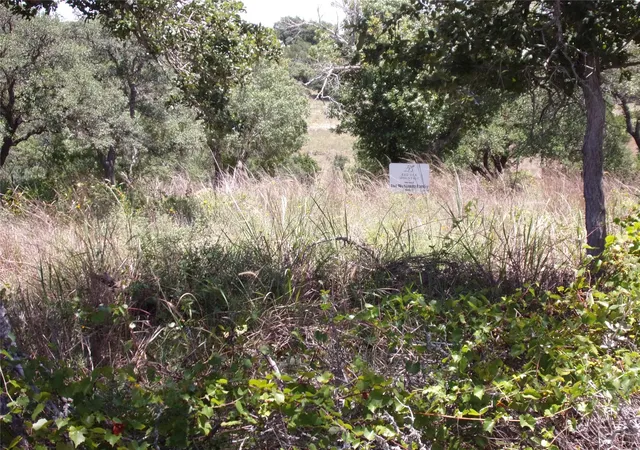Photo 2 of Land for sale at Tbd Twisted Oak Trl, Blanco, TX 78606 | MLS# 4371463 | Listing updated on 2026-08-02