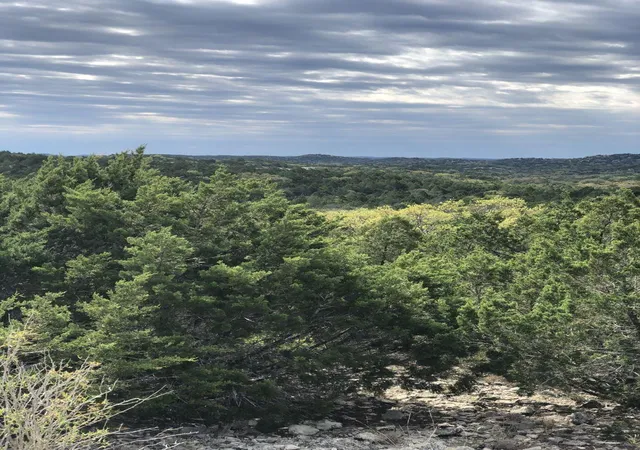 Land for sale at Tbd County Rd 635, Rocksprings, TX 78880 | MLS# 6113942