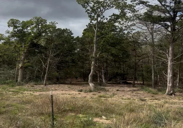 1st image of Lot 15 Antioch Rd, Paige, TX 78659 | MLS# 8303626