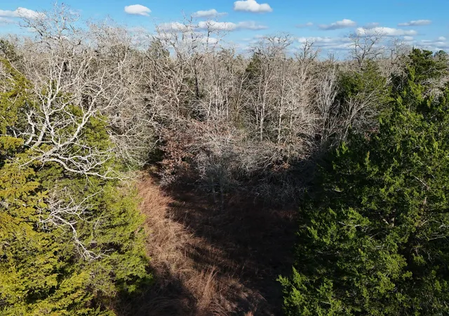 24th image of Lot 15 Antioch Rd, Paige, TX 78659 | MLS# 8303626