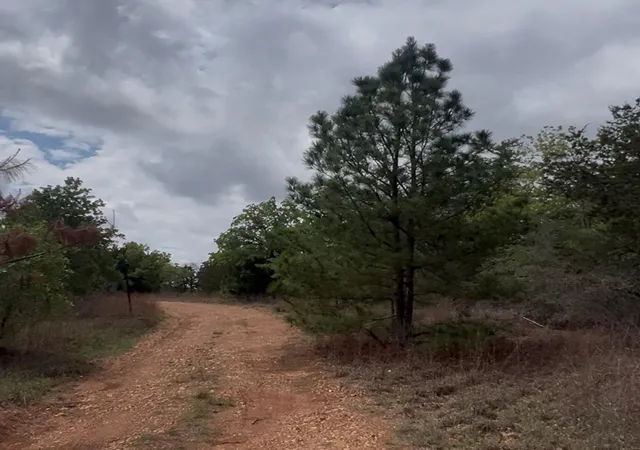 5th image of Lot 15 Antioch Rd, Paige, TX 78659 | MLS# 8303626