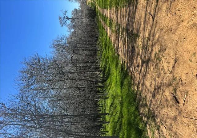 2nd image of Lots 499 And 500 Kaaawa Ln, Bastrop, TX 78602 | MLS# 1081802