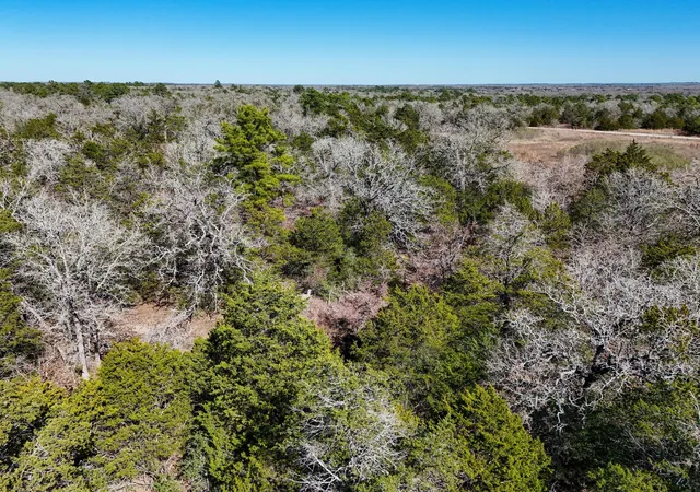 2nd image of Lot 3 South Old Potato Rd, Paige, TX 78659 | MLS# 1209445