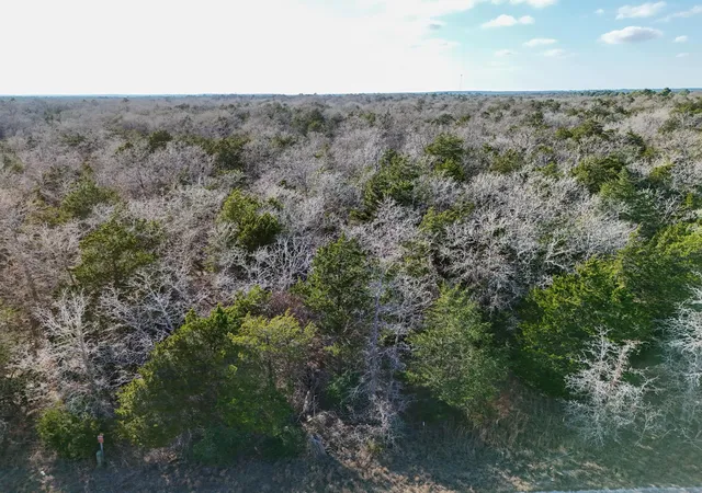 Photo 3 of Land for sale at Lot 3 S Old Potato Rd, Paige, TX 78659 | MLS# 1209445 | Listing updated on 2026-09-23