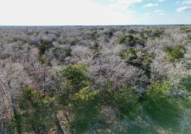 Photo 4 of Land for sale at Lot 3 S Old Potato Rd, Paige, TX 78659 | MLS# 1209445 | Listing updated on 2026-09-23
