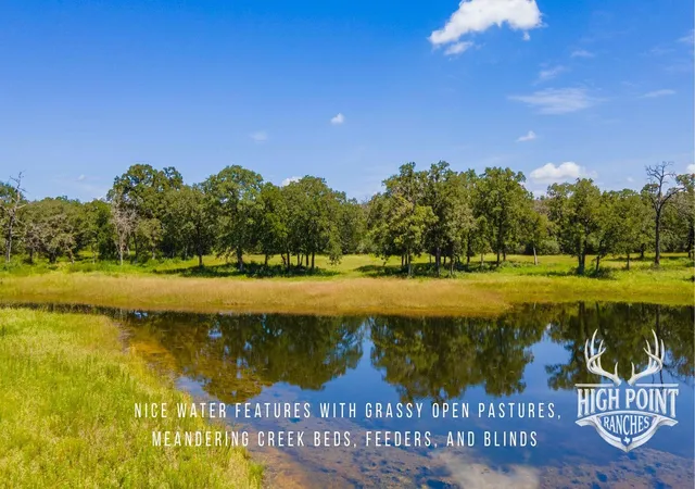 3rd image of Tbd Ranch Road Off Cr 405 (+/- 245 Acres), Lexington, TX 78947 | MLS# 4338882