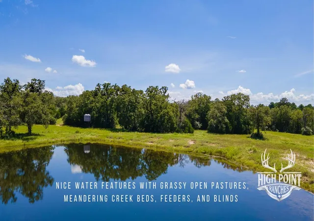 4th image of Tbd Ranch Road Off Cr 405 (+/- 245 Acres), Lexington, TX 78947 | MLS# 4338882