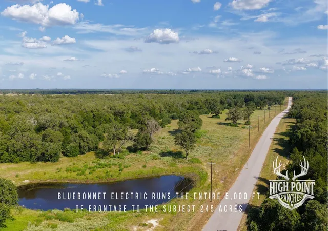 5th image of Tbd Ranch Road Off Cr 405 (+/- 245 Acres), Lexington, TX 78947 | MLS# 4338882