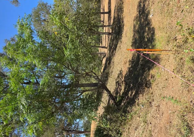 2nd image of 183 Wilbarger Cv, Elgin, TX 78621 | MLS# 5128252