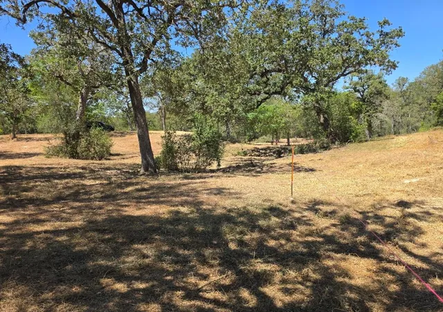 5th image of 183 Wilbarger Cv, Elgin, TX 78621 | MLS# 5128252
