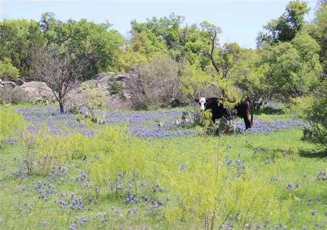 2nd image of 2655 Welgehausen Rd, Fredericksburg, TX 78624 | MLS# 8592567