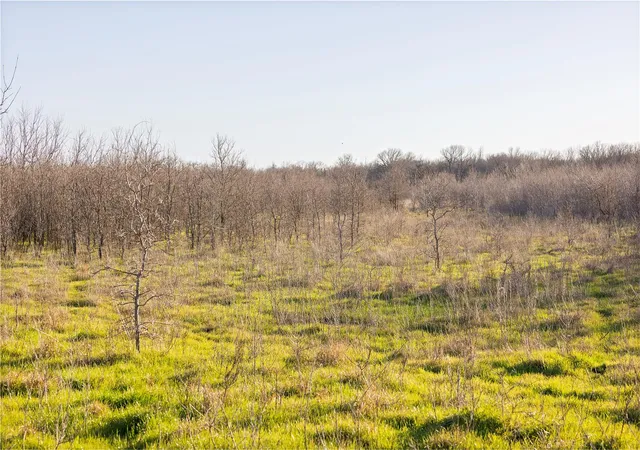 20th image of 2801 County Road 436, Thrall, TX 76578 | MLS# 3550215