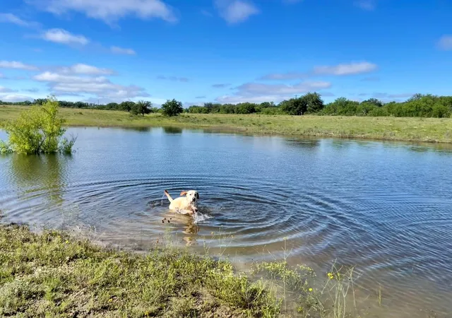 Photo 40 of Single family home for sale at 1456 N Us Hwy 283, Brady, TX 76825 | MLS# 5737830 | Listing updated on 2026-08-19