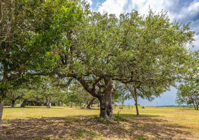 2nd image of 2160 (tract #5) Baca Loop, Flatonia, TX 78941 | MLS# 2594501
