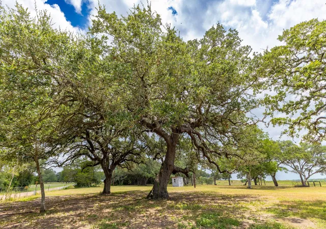 3rd image of 2160 (Tract #5) Baca Loop, Flatonia, TX 78941 | MLS# 2594501