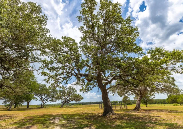 4th image of 2160 (Tract #5) Baca Loop, Flatonia, TX 78941 | MLS# 2594501