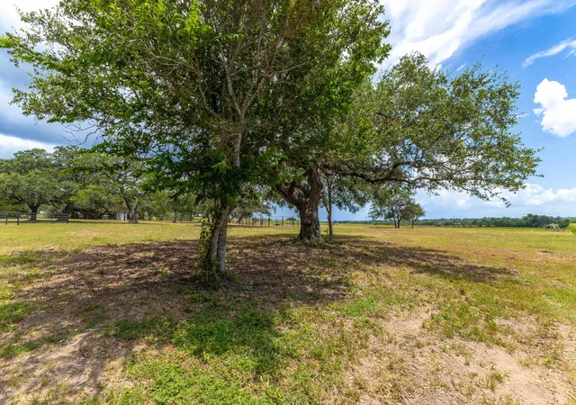 5th image of 2160 (Tract #5) Baca Loop, Flatonia, TX 78941 | MLS# 2594501