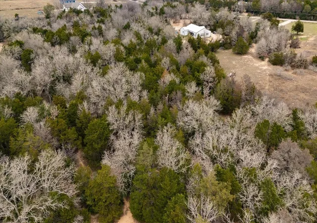 22nd image of 145 Eely Rd, Mc Dade, TX 78650 | MLS# 5476699