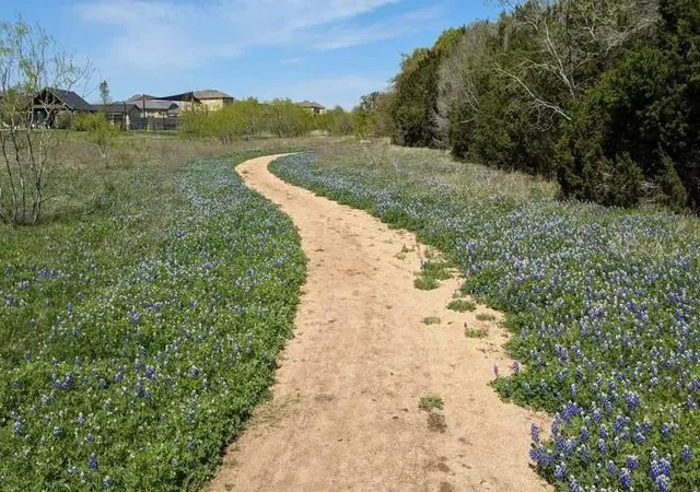 35th image of 120 Northern Harrier Ct, Leander, TX 78641 | MLS# 9765532