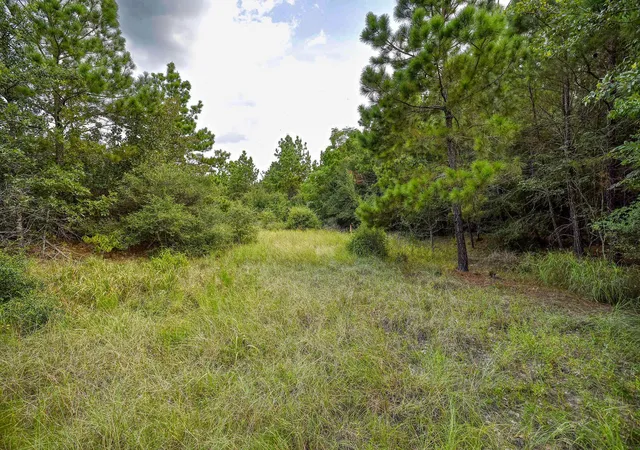 1st image of Tbd Kipahulu Dr #2, Bastrop, TX 78602 | MLS# 4720456