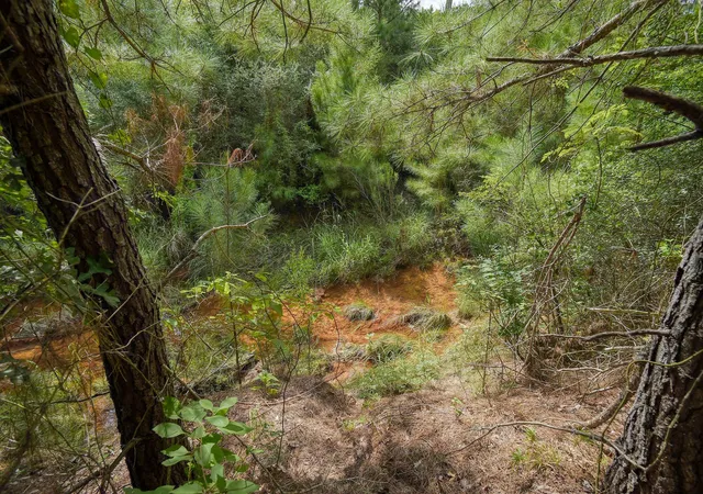 26th image of Tbd Kipahulu Dr #2, Bastrop, TX 78602 | MLS# 4720456