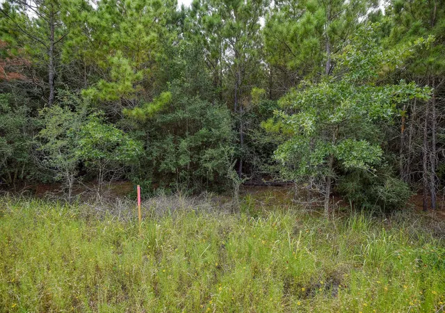3rd image of Tbd Kipahulu Dr #2, Bastrop, TX 78602 | MLS# 4720456