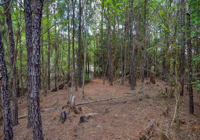 4th image of Tbd Kipahulu Dr #2, Bastrop, TX 78602 | MLS# 4720456