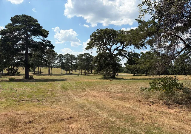 Photo 4 of House for sale at 170 Split Oak Rd, Smithville, TX 78957 | MLS# 3696662 | Listing updated on 2026-09-25