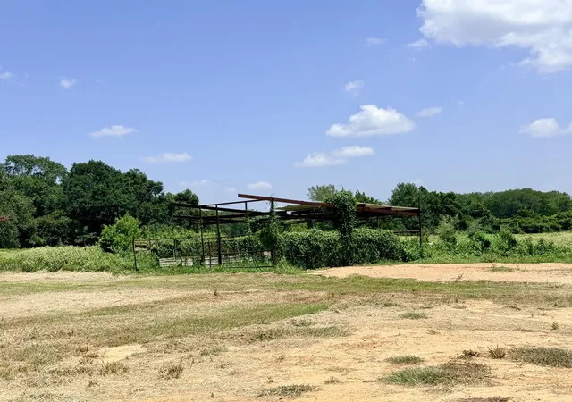 10th image of 10901 County Road 367, Caldwell, TX 77836 | MLS# 1324017