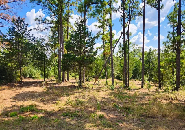 Photo 2 of Land for sale at Tbd Modock Dr, Bastrop, TX 78602 | MLS# 9521115 | Listing updated on 2026-09-25
